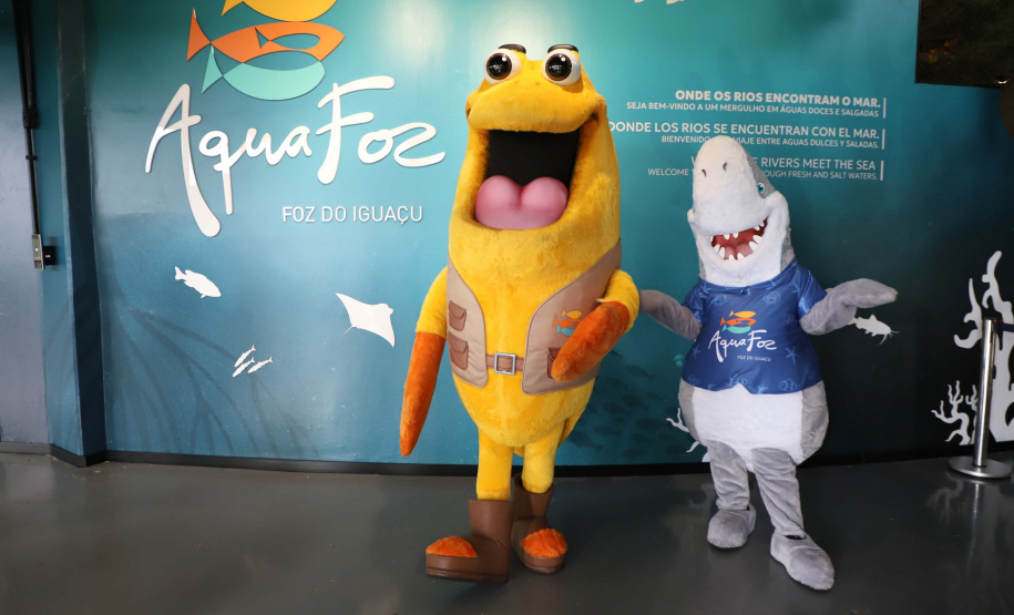 Novo atrativo: Foz do Iguaçu ganha um dos maiores aquários da América Latina