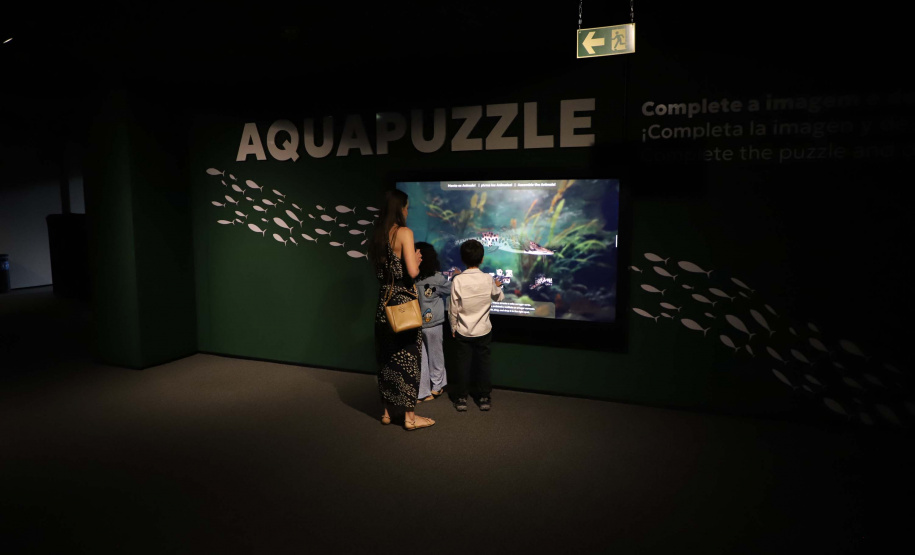 Economia aquecida: turismo e serviços crescem no Paraná em 2025, aponta IBGE