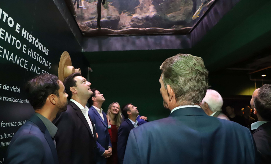 Novo atrativo: Foz do Iguaçu ganha um dos maiores aquários da América Latina