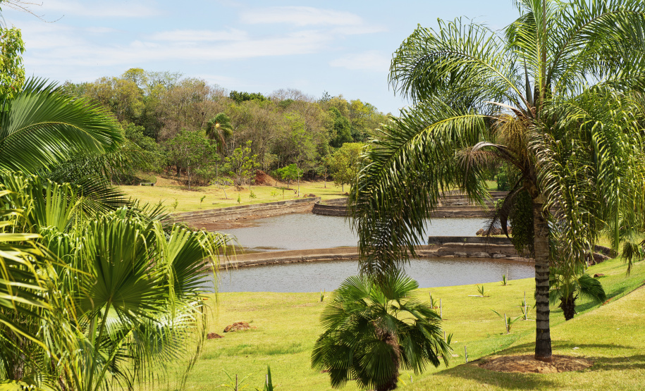 Trinta espaços ambientais do Paraná estarão abertos ao público durante o feriado prolongado da Consciência Negra