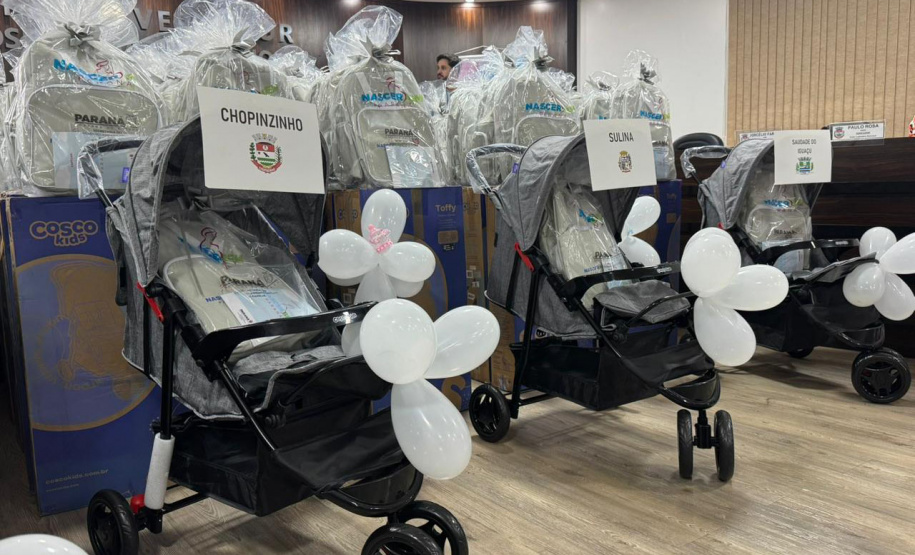 Estado entrega mais 233 kits do Programa Nascer Bem Paraná