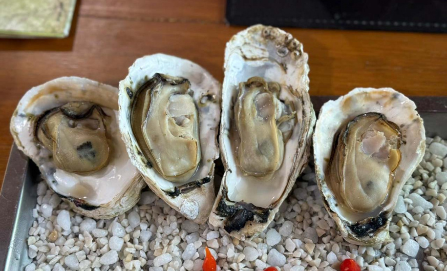 Paraná investe R$ 3 milhões em laboratório de sementes de ostra  cultivada no Litoral