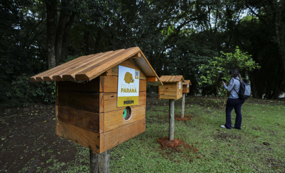 MON recebe três casas de abelhas nativas do Projeto Poliniza Paraná