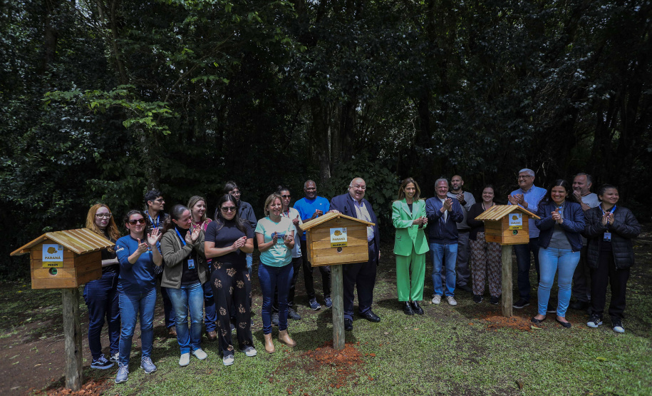 MON recebe três casas de abelhas nativas do Projeto Poliniza Paraná