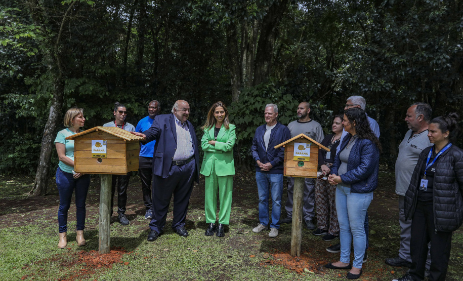 MON recebe três casas de abelhas nativas do Projeto Poliniza Paraná