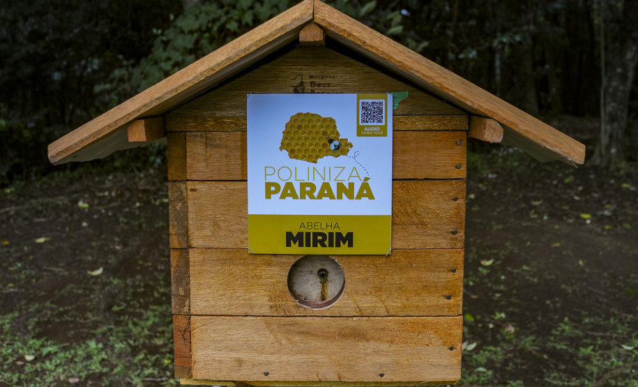 MON recebe três casas de abelhas nativas do Projeto Poliniza Paraná