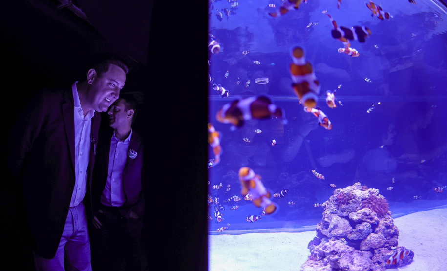 Novo atrativo: Foz do Iguaçu ganha um dos maiores aquários da América Latina