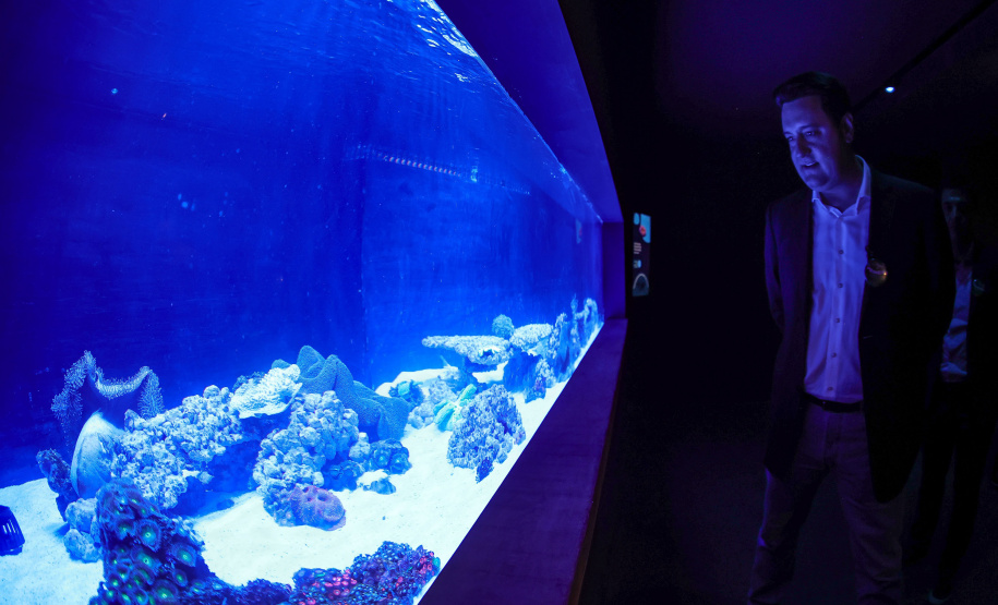 Novo atrativo: Foz do Iguaçu ganha um dos maiores aquários da América Latina