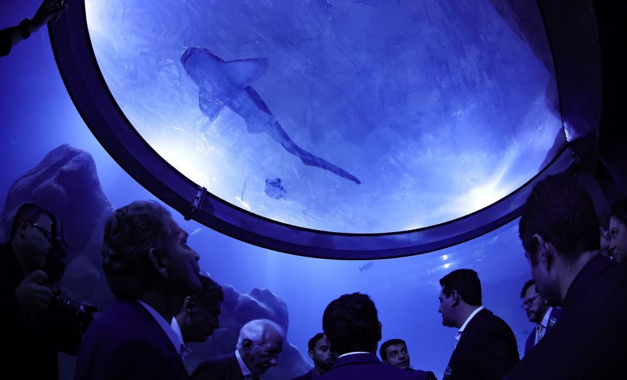 Novo atrativo: Foz do Iguaçu ganha um dos maiores aquários da América Latina