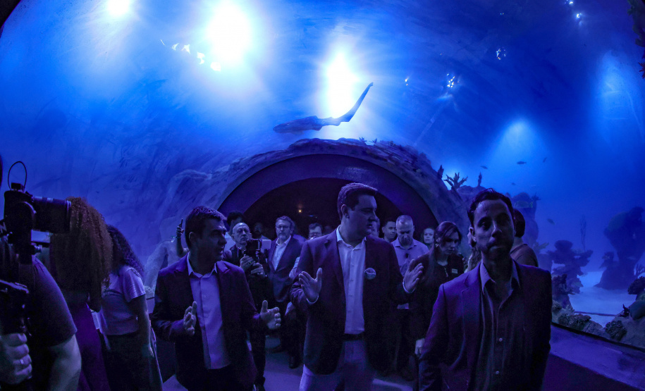 Novo atrativo: Foz do Iguaçu ganha um dos maiores aquários da América Latina