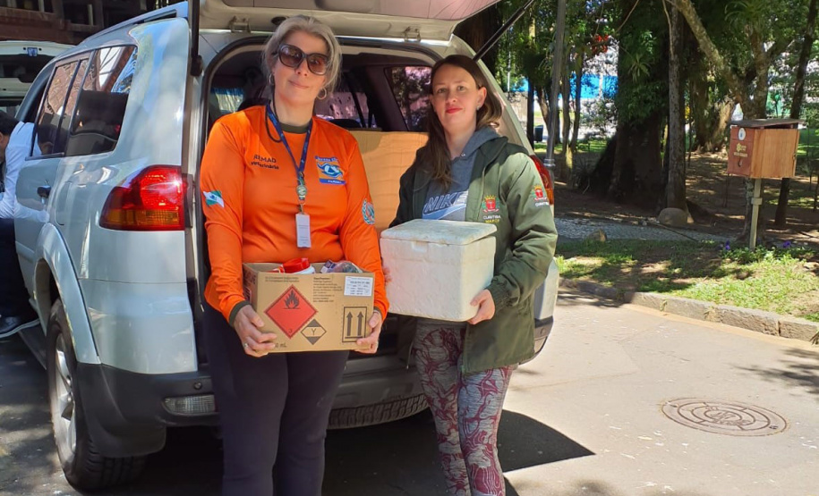 Rede Estadual de Manejo de Animais em Desastres (REMAD) já atendeu mais de 2.300 animais na região destruída pelo tornado da semana passada
