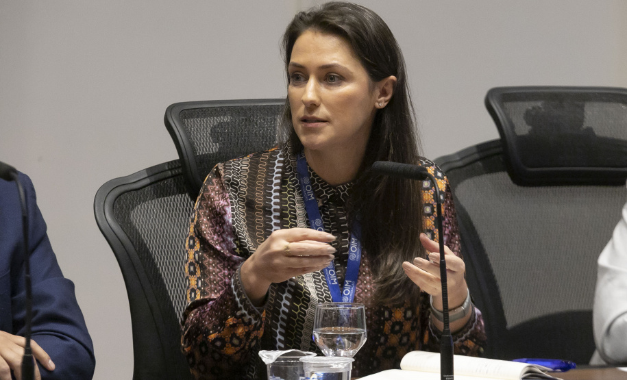 Reunião GGI sobre Rio Bonito