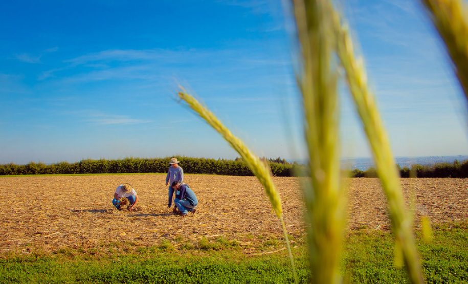 araná seleciona profissionais para atuar em práticas sustentáveis no meio rural