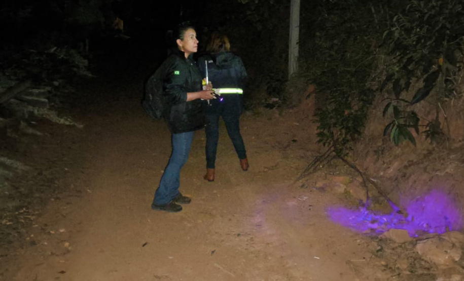 SESA - Ações no Norte Pioneiro somam mais de 5 mil capturas de escorpiões nos últimos meses