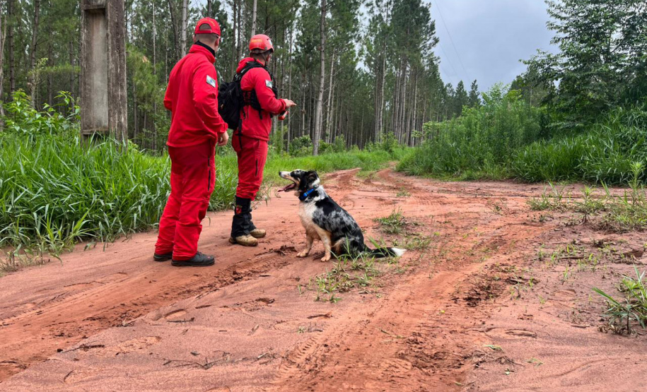 CBMPR realiza 2ª Certificação Nacional de Cães de Busca e Resgate em Cianorte