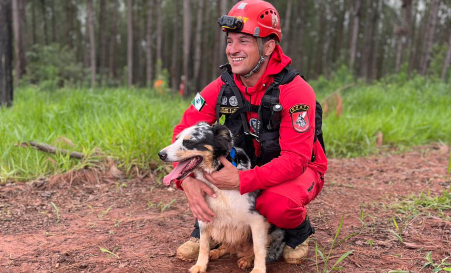 CBMPR realiza 2ª Certificação Nacional de Cães de Busca e Resgate em Cianorte