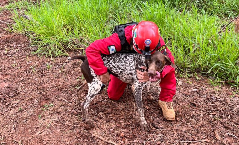 CBMPR realiza 2ª Certificação Nacional de Cães de Busca e Resgate em Cianorte