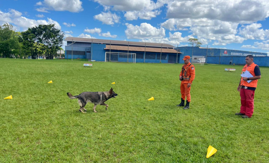 CBMPR realiza 2ª Certificação Nacional de Cães de Busca e Resgate em Cianorte