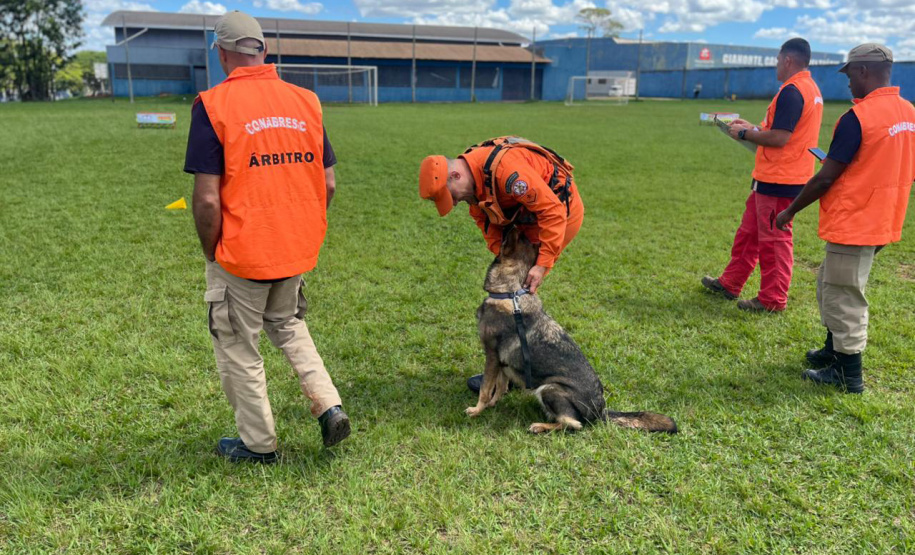 CBMPR realiza 2ª Certificação Nacional de Cães de Busca e Resgate em Cianorte