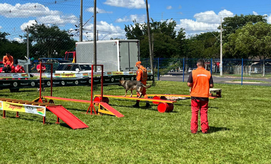 CBMPR realiza 2ª Certificação Nacional de Cães de Busca e Resgate em Cianorte