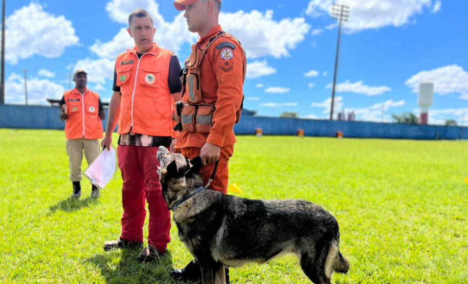 CBMPR realiza 2ª Certificação Nacional de Cães de Busca e Resgate em Cianorte