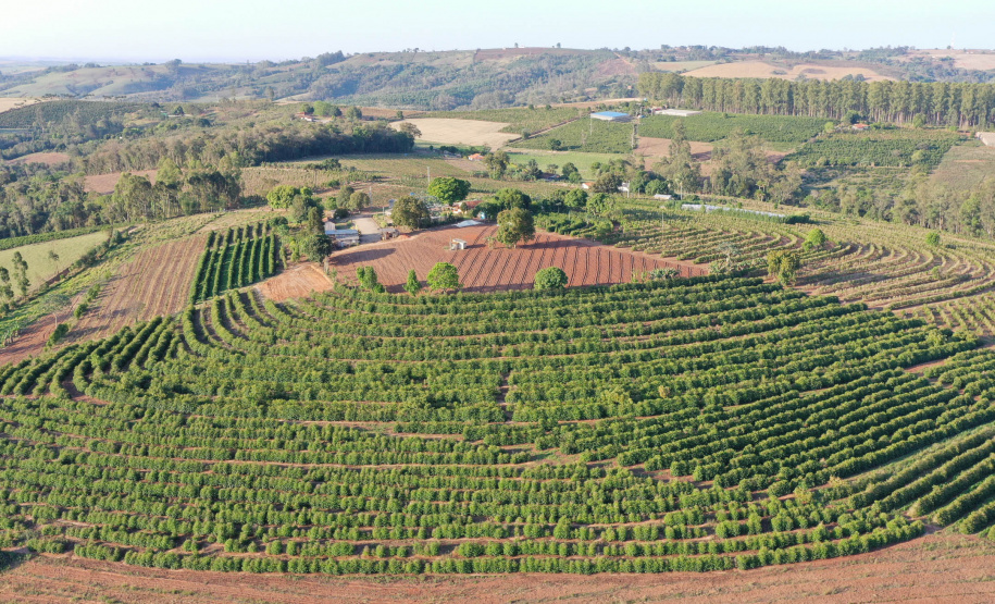 Café vencedor da 23ª edição do Concurso Café Qualidade é certificado pela Adapar
