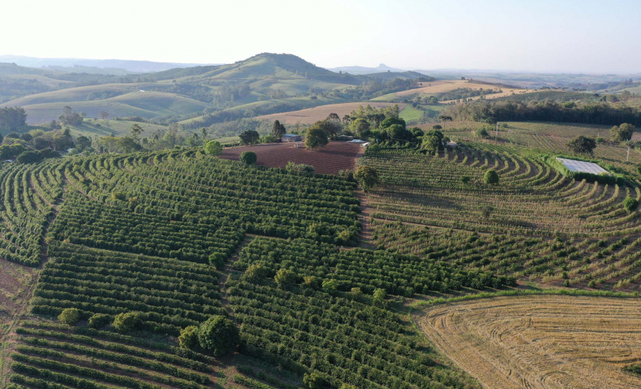 Café vencedor da 23ª edição do Concurso Café Qualidade é certificado pela Adapar