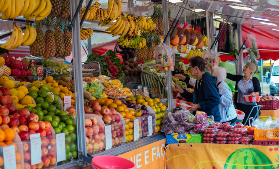 Isabella Mayer/Prefeitura de Curitiba