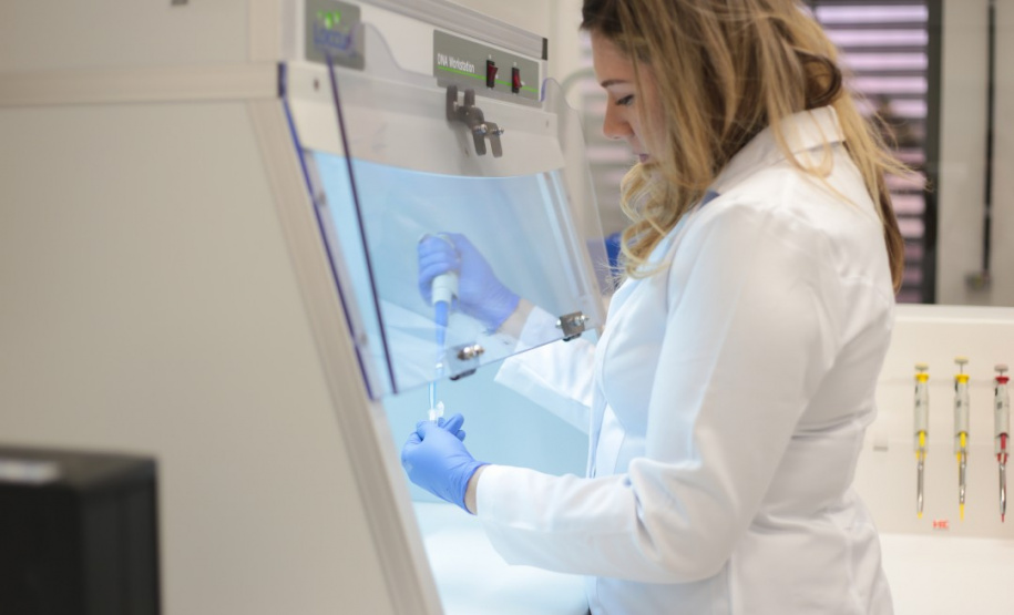 Com apoio do Estado, Impacta Campos Gerais 2025 impulsiona setor produtivo regional