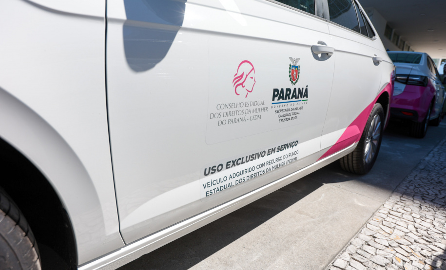 Avanço histórico nas políticas para mulheres marca o ano de 2025 no Paraná