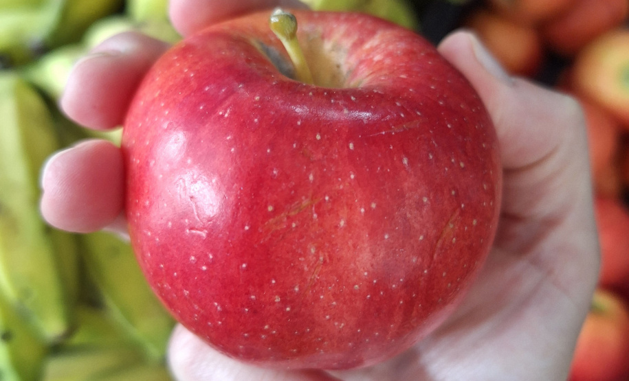 SEED - Orgânicos ganham espaço na alimentação escolar e chegam a 5 mil toneladas no Paraná