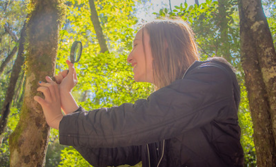 Com apoio do Estado, Impacta Campos Gerais 2025 impulsiona setor produtivo regional