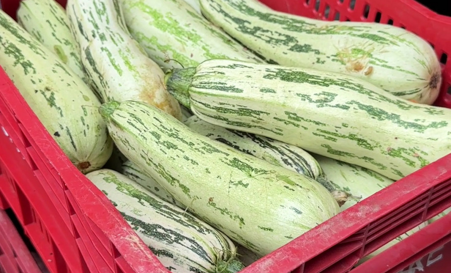 SEED - Orgânicos ganham espaço na alimentação escolar e chegam a 5 mil toneladas no Paraná