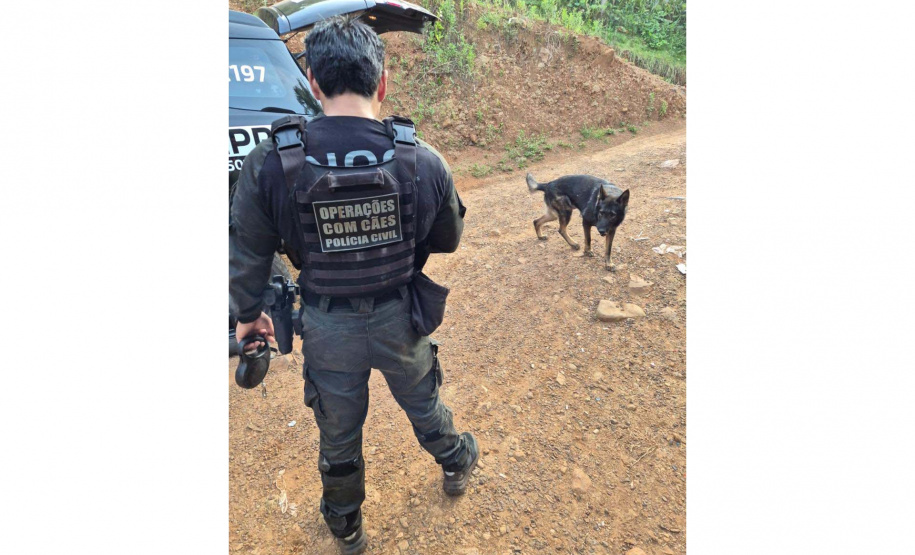 PCPR prende 56 pessoas durante megaoperação contra organização criminosa no Paraná