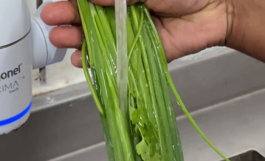 SEED - Orgânicos ganham espaço na alimentação escolar e chegam a 5 mil toneladas no Paraná