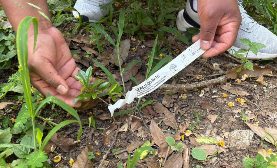 Alunos criam “Canteiro de Africanidades” para ensinar história e cultura afro-brasileira