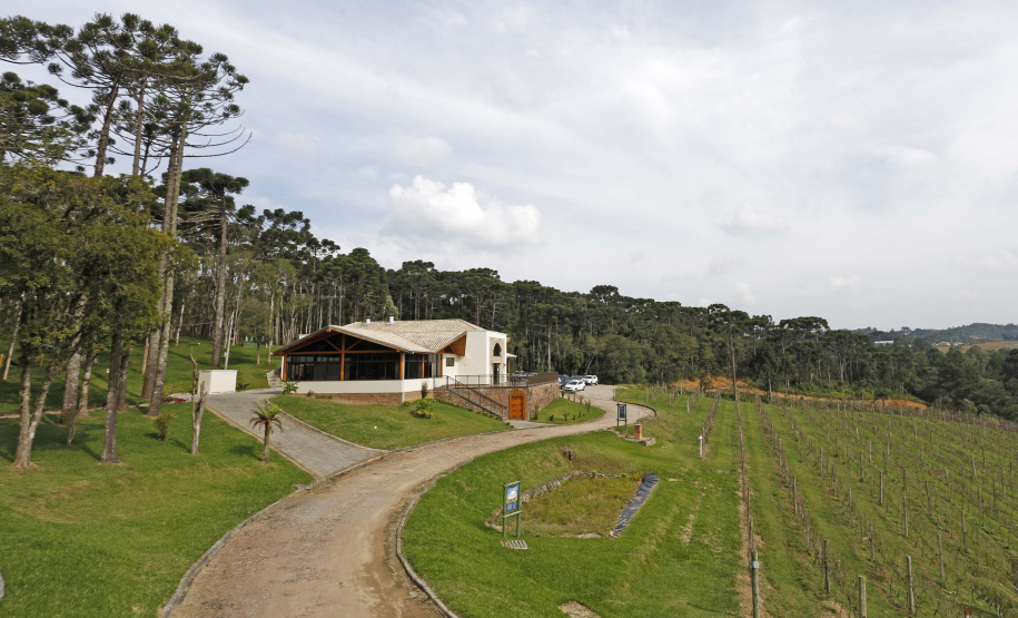 Turismo Rural no Paraná pesquisa mostra setor em expansão e perfil qualificado de empreendedores