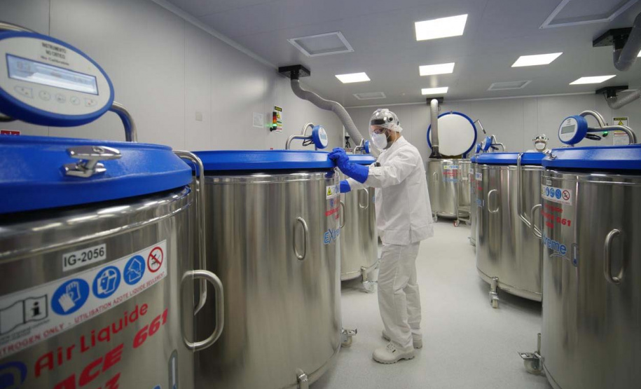 Paraná será responsável pelo banco brasileiro de antígenos e vacinas contra febre aftosa