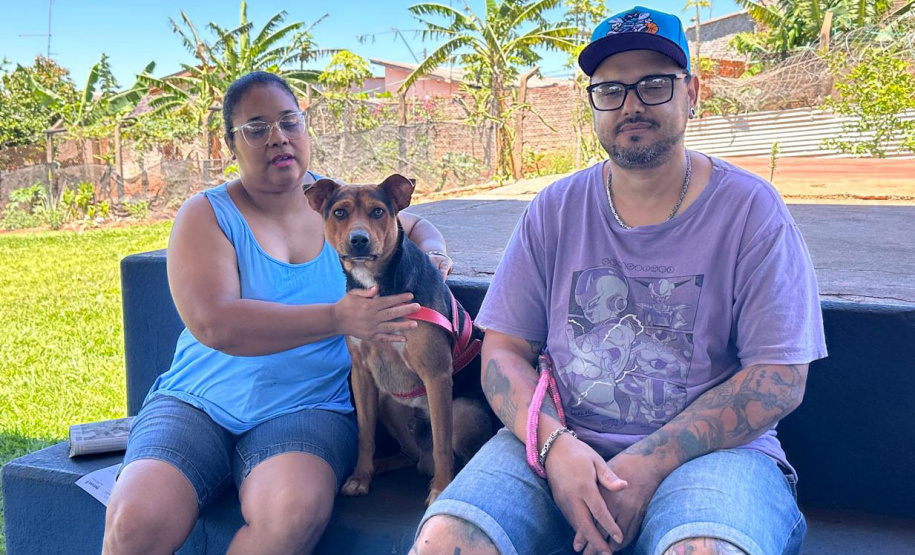 Mutirão do CastraPet vai beneficiar cães e gatos de 20 municípios do Paraná em dezembro