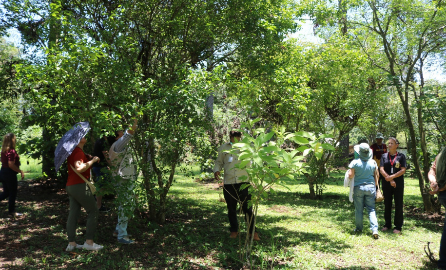Quando a colheita encontra a mesa: Cestas Solidárias celebra resultados com encontro anual