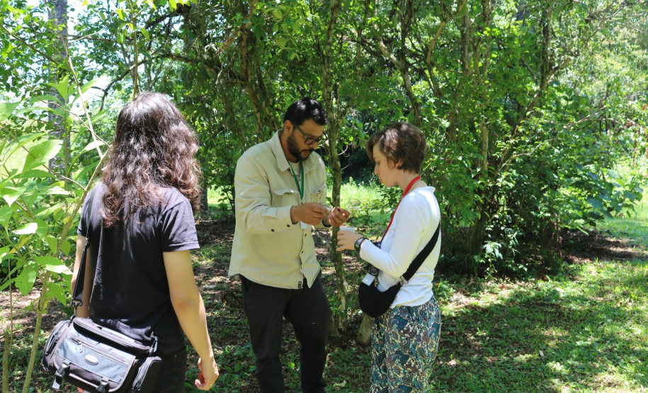 Quando a colheita encontra a mesa: Cestas Solidárias celebra resultados com encontro anual