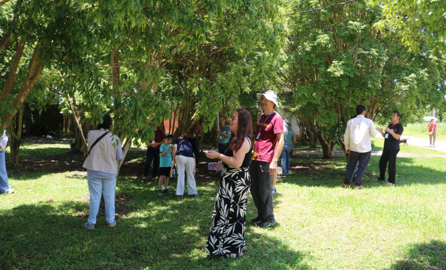 Quando a colheita encontra a mesa: Cestas Solidárias celebra resultados com encontro anual