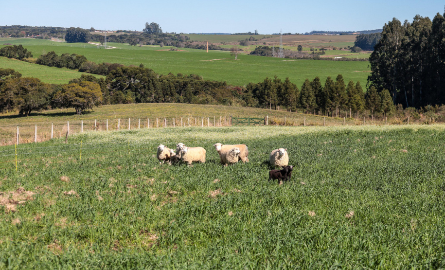 Municípios avançam em inovação com novos investimentos e programas estaduais em 2025