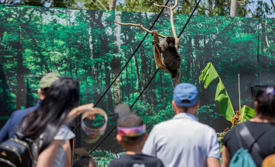 Mais de 5,8 milhões de turistas visitaram Foz do Iguaçu em 2025