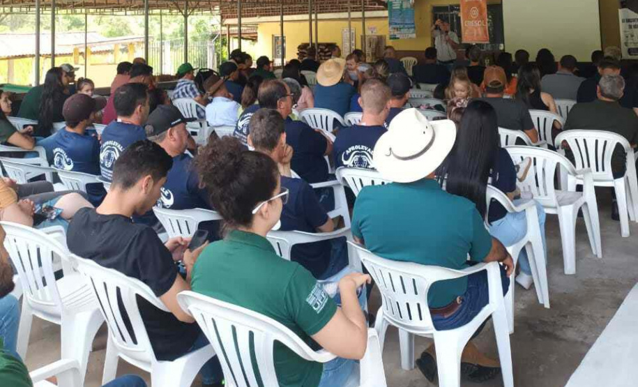 Com ações do IDR-Paraná, produção de búfalos deve ter salto de 50% na renda dos criadores