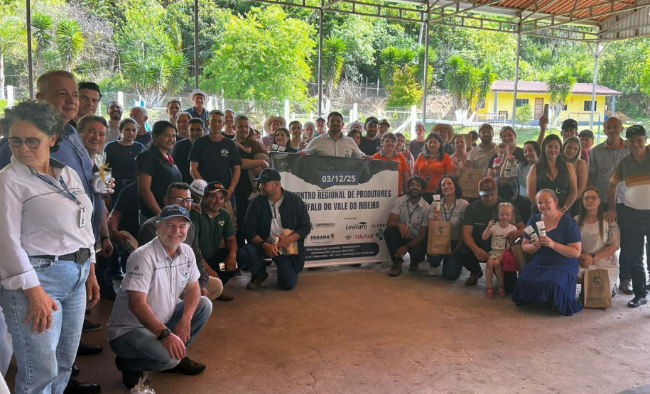 Com ações do IDR-Paraná, produção de búfalos deve ter salto de 50% na renda dos criadores