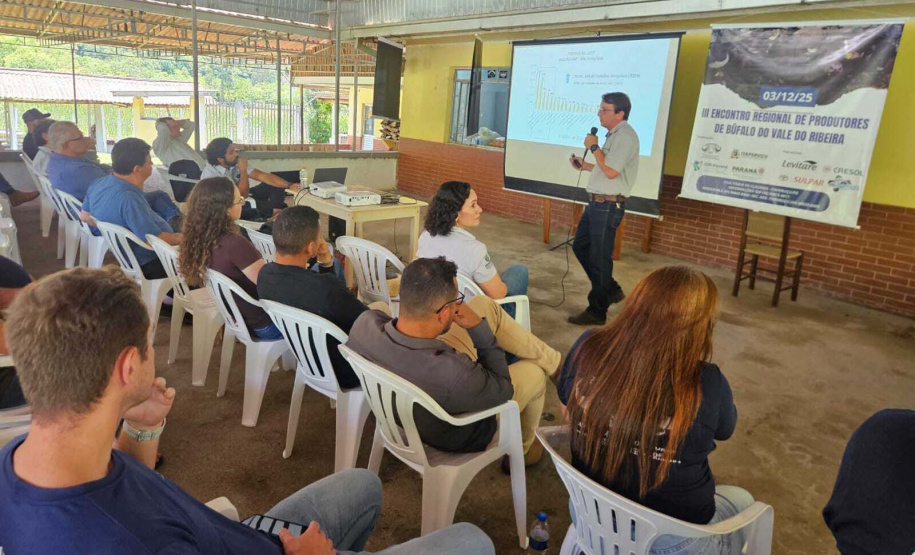 Com ações do IDR-Paraná, produção de búfalos deve ter salto de 50% na renda dos criadores