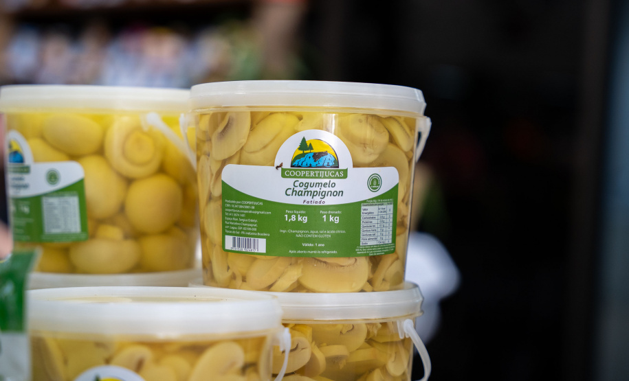 PRODUÇÃO COGUMELOS