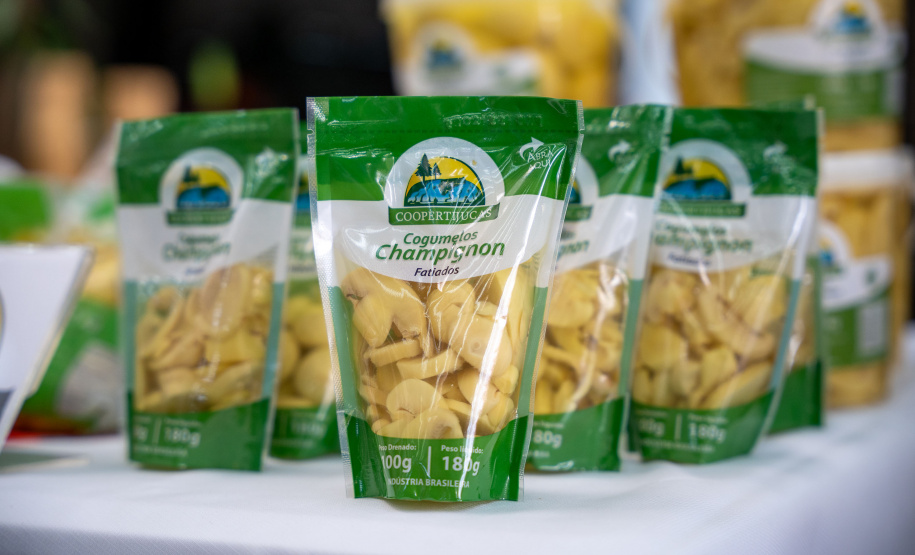 PRODUÇÃO COGUMELOS