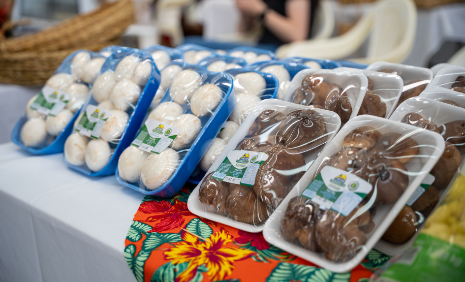 PRODUÇÃO COGUMELOS